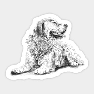 Golden Retriever Sticker